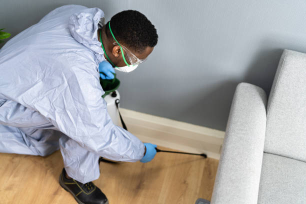 Best Residential Pest Control  in Moreauville, LA